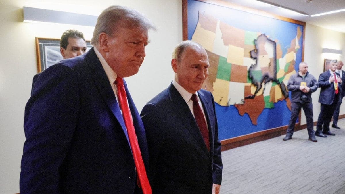 Image for article